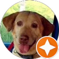 Profile photo of Ty Pls