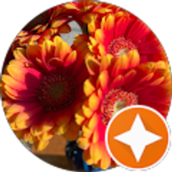 Profile photo of Deborah Kasperson