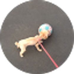 Profile photo of Hartley Bernstein