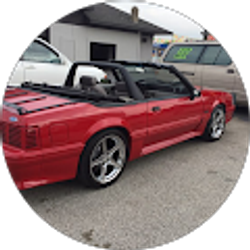 Profile photo of Carlos Salazar