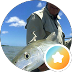 Profile photo of Steve Pigott
