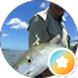 Profile photo of Steve Pigott