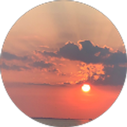 Profile photo of Renee Hanan