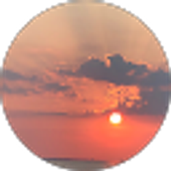 Profile photo of Renee Hanan