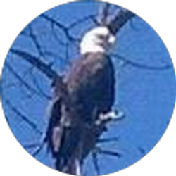 Profile photo of Allen John