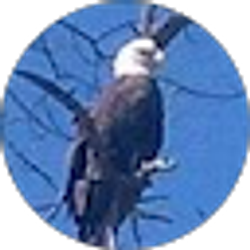 Profile photo of Allen John