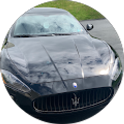 Profile photo of Lanny Nestico