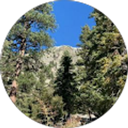 Profile photo of Billie Moore