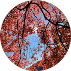 Profile photo of Rosana Pauta Ortiz