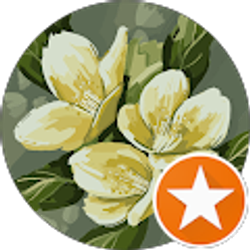 Profile photo of Sandy Lewis