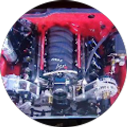 Profile photo of Miguel Maldonado