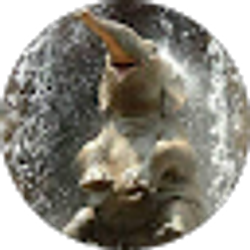 Profile photo of Don Richardson