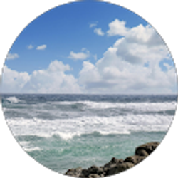 Profile photo of So Missy Scott