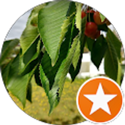 Profile photo of Andrew Stewart