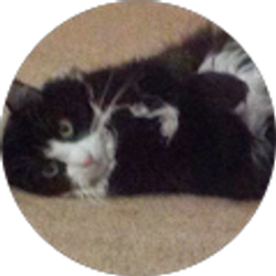 Profile photo of Missy Hone