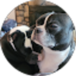 Profile photo of Nancy Barter