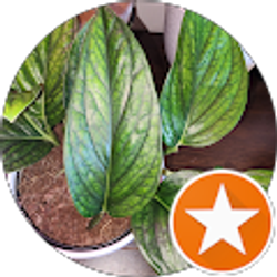 Profile photo of Gabby Paletta