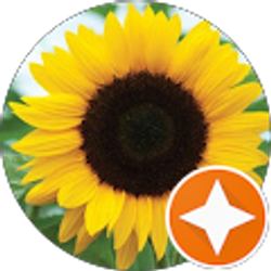 Profile photo of Mercedes Jeffries