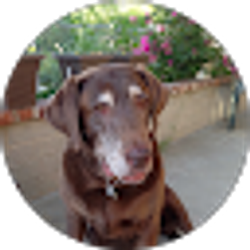 Profile photo of Tami Gibson