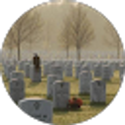 Profile photo of Myra Giddens