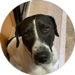 Profile photo of Isabella Fields