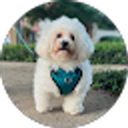 Profile photo of marcela nomelin