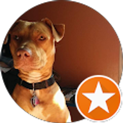 Profile photo of Agustin Cervetti