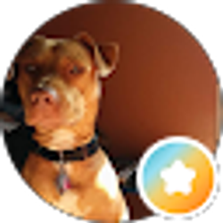 Profile photo of Agustin Cervetti