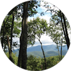 Profile photo of David Heath