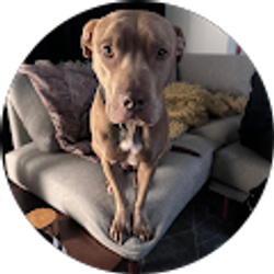 Profile photo of Maithy Nguyen