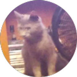 Profile photo of Daryle Winders