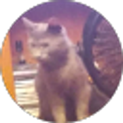 Profile photo of Daryle Winders