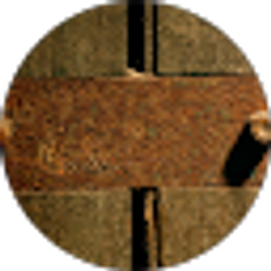 Profile photo of Joseph Zdichowski