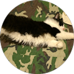 Profile photo of Mark Kiker