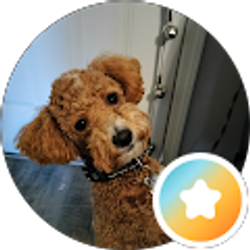 Profile photo of Cindi Senior