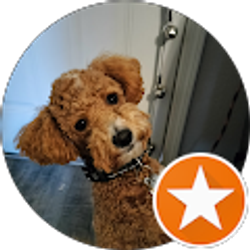 Profile photo of Cindi Senior