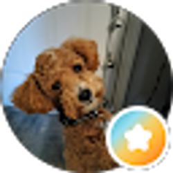 Profile photo of Cindi Senior