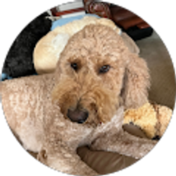 Profile photo of Becky Cawthon