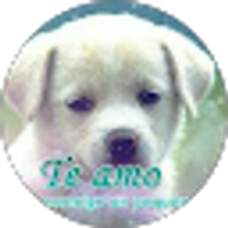 Profile photo of Henry Rodriguez