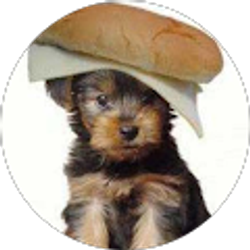 Profile photo of Chase Roy (Call Of Doggys)