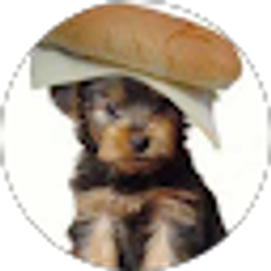 Profile photo of Chase Roy (Call Of Doggys)