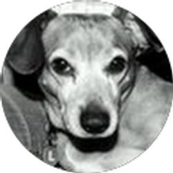 Profile photo of Jen Zarcone