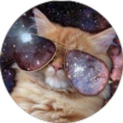 Profile photo of mornaner