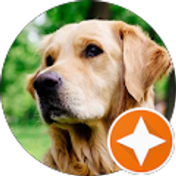 Profile photo of Melissa Manikas