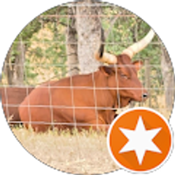 Profile photo of Cynthia Houser