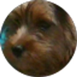 Profile photo of Sandra Gray