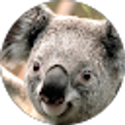 Profile photo of Marti Lynn