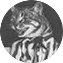 Profile photo of Matthew Craigge