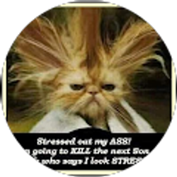 Profile photo of MikeyP