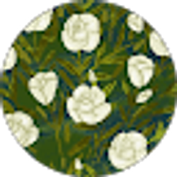 Profile photo of Liliana Betancourt